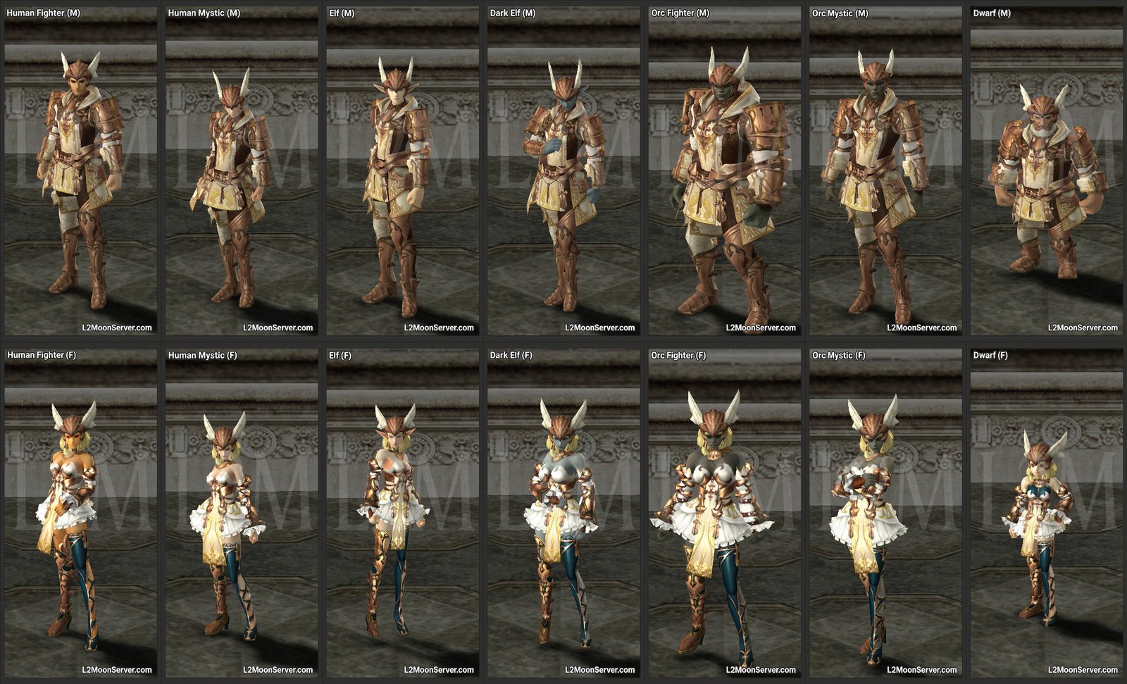 Valkyrie Skin