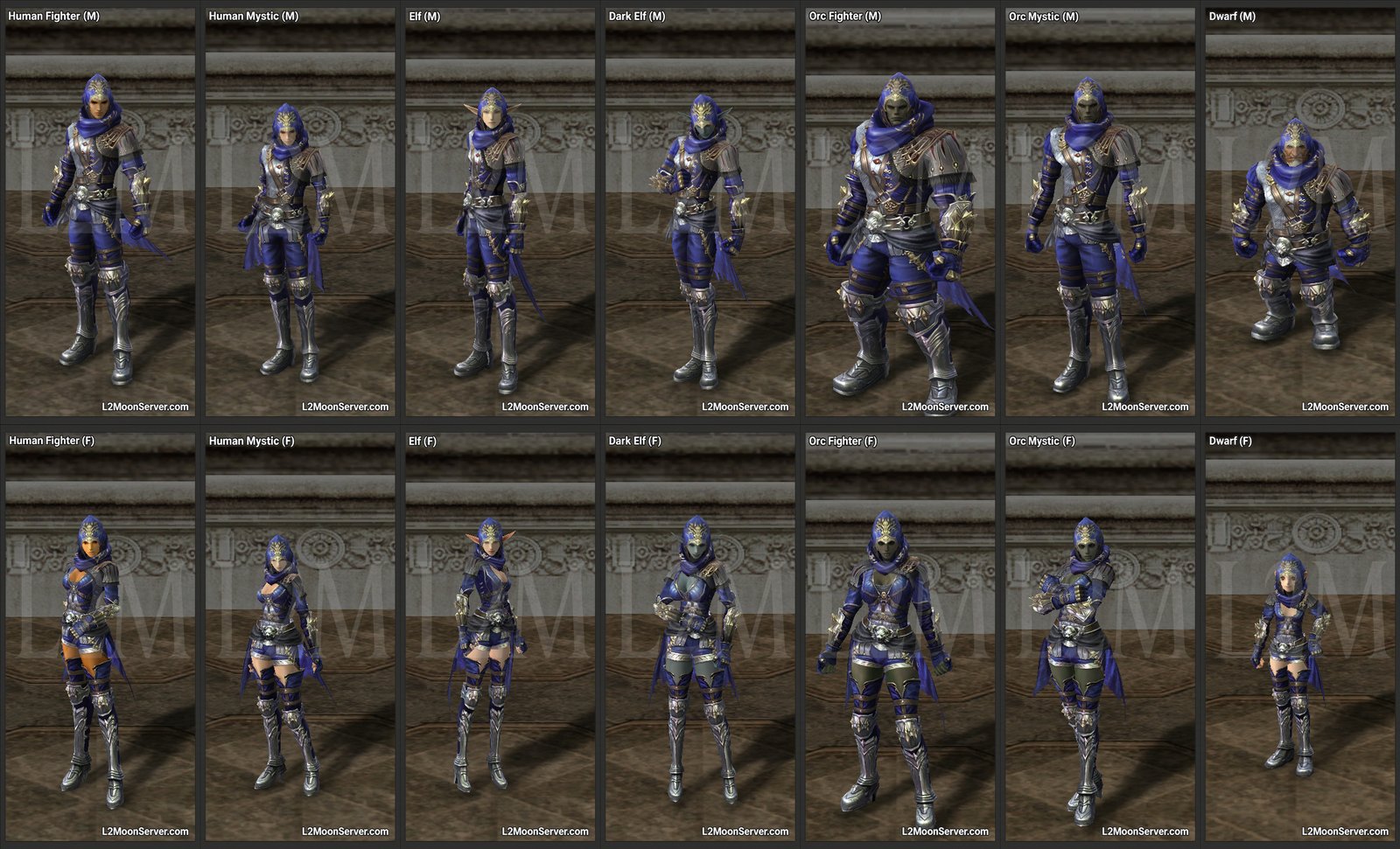 Blue Assassins Skin