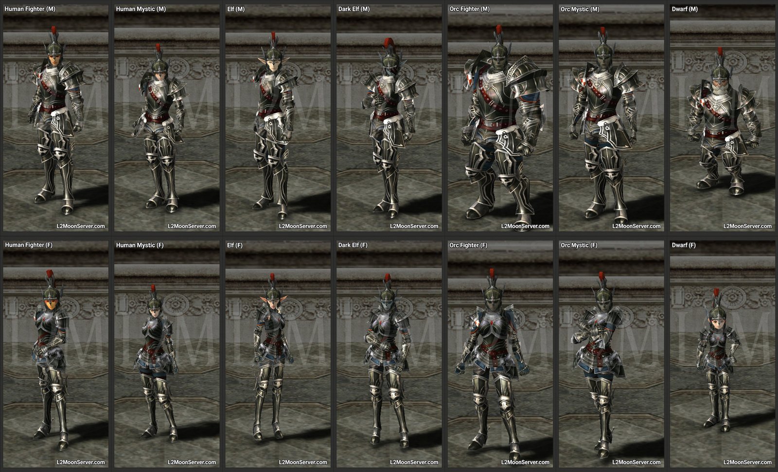 Warrior Skin
